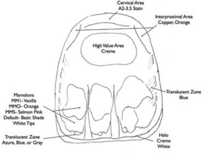 color map for a tooth